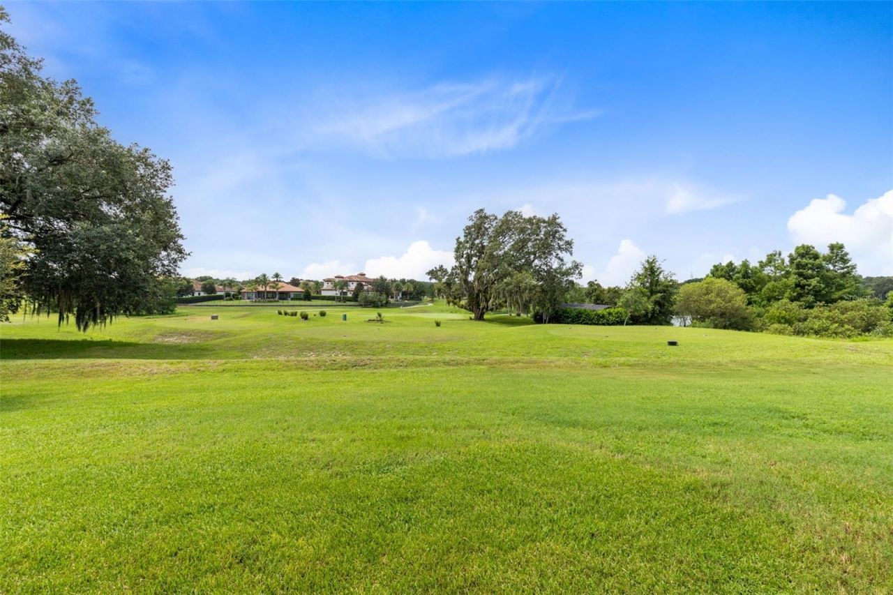 25858 Crossings Bluff Lane, Sorrento, FL 32776 Photo