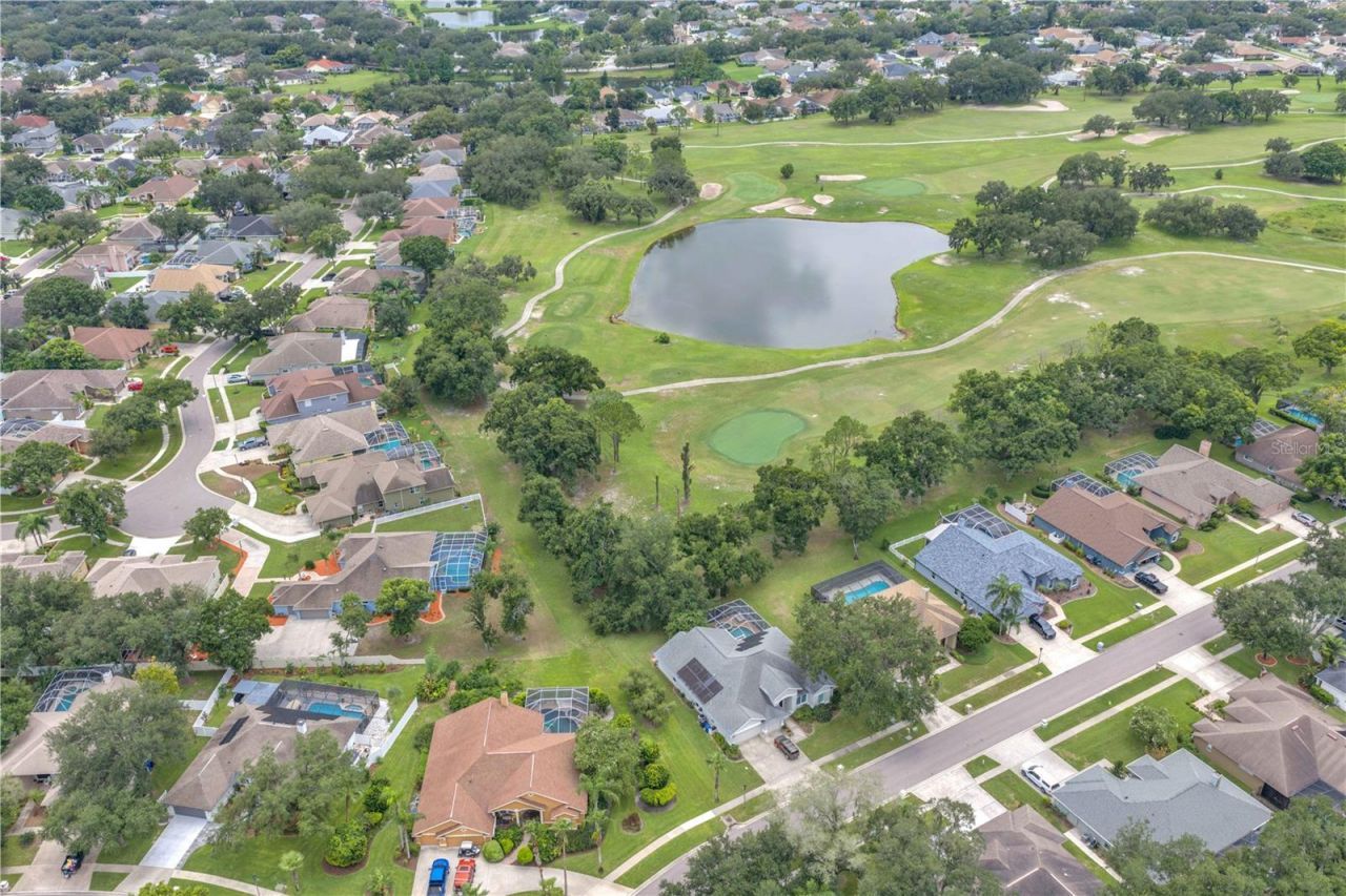 4419 Swift Circle, Valrico, FL 33596 Photo