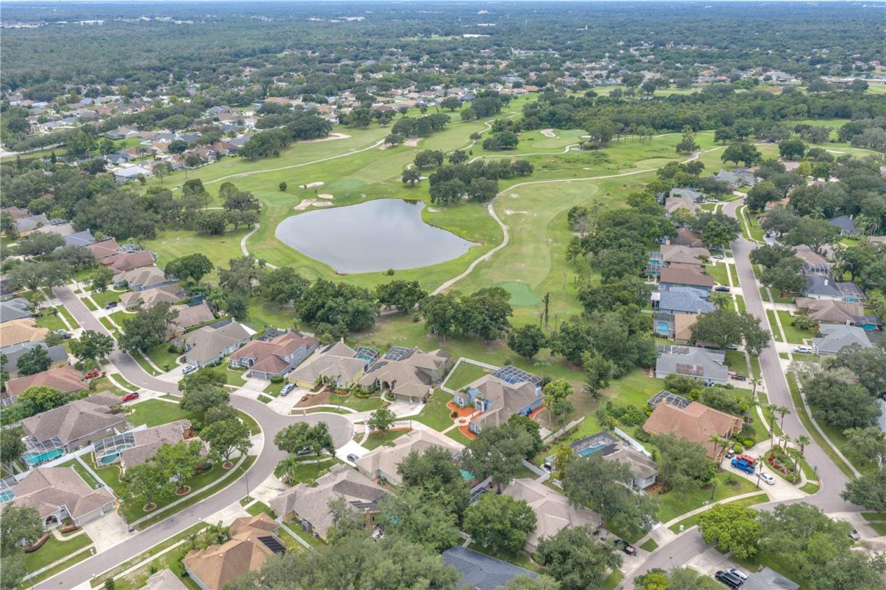 4419 Swift Circle, Valrico, FL 33596 Photo