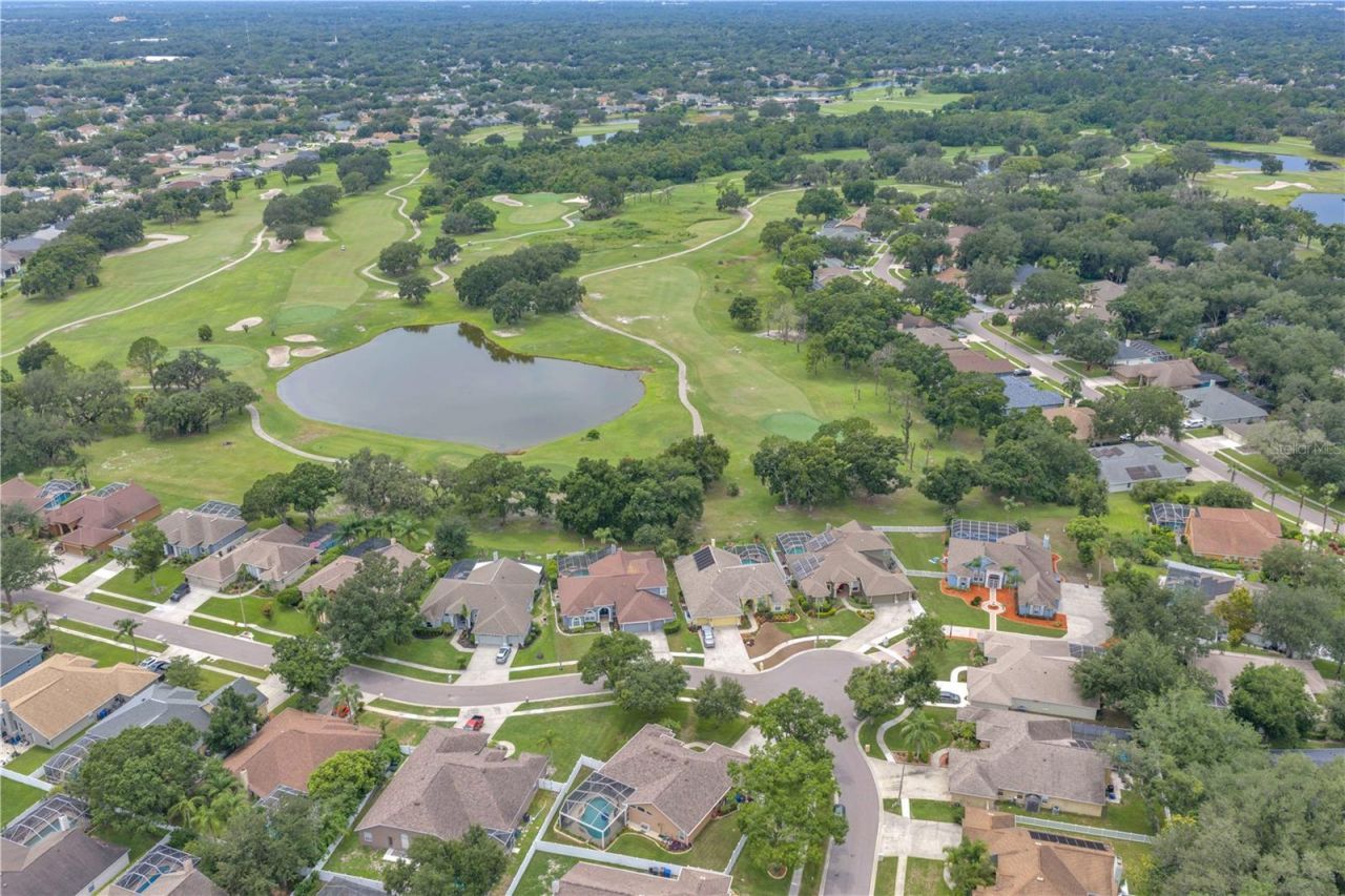 4419 Swift Circle, Valrico, FL 33596 Photo