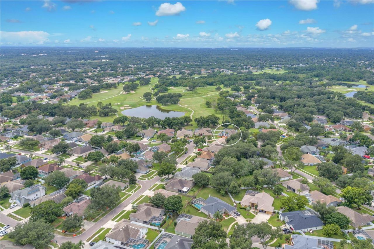 4419 Swift Circle, Valrico, FL 33596 Photo