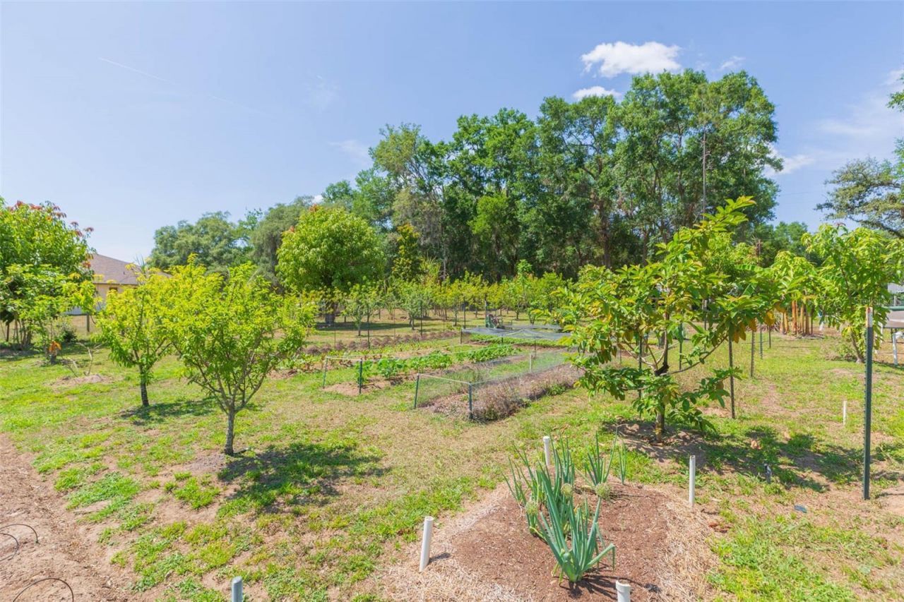 34211 Blanton Road, Dade City, FL 33523 Photo
