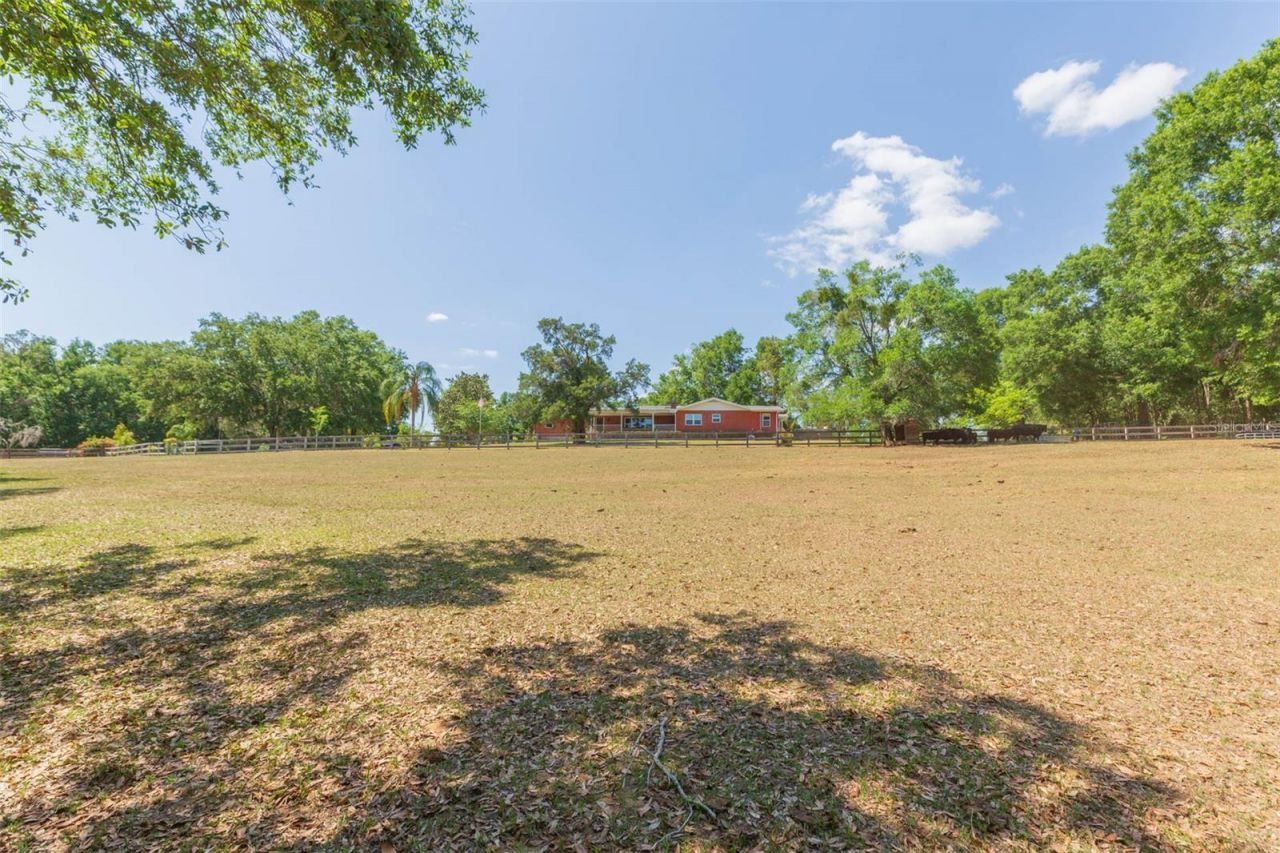 34211 Blanton Road, Dade City, FL 33523 Photo