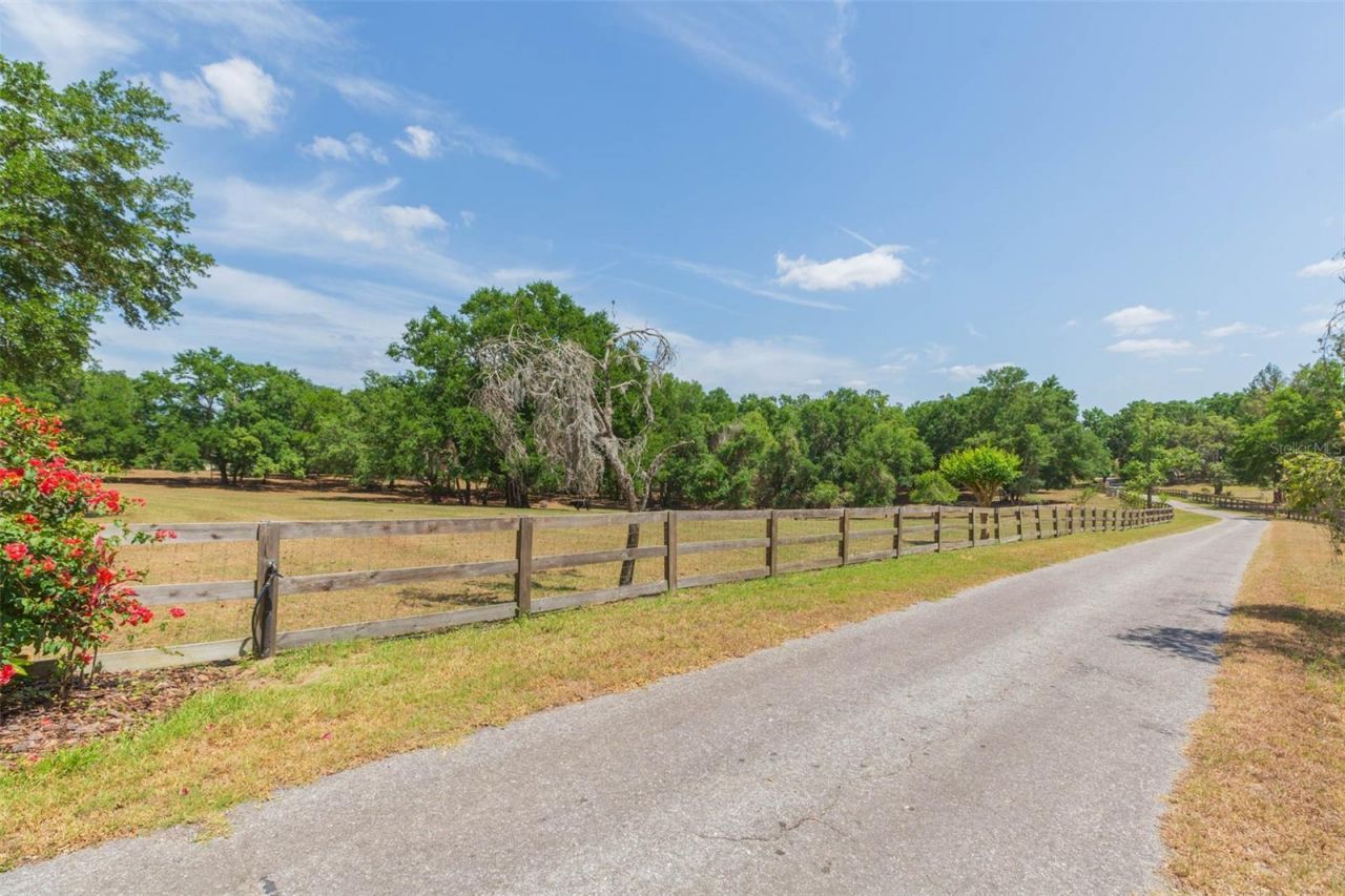 34211 Blanton Road, Dade City, FL 33523 Photo
