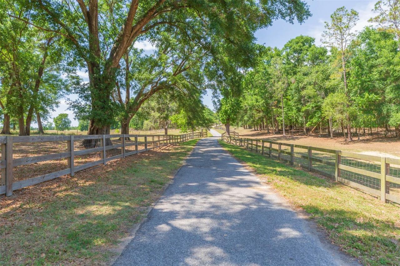 34211 Blanton Road, Dade City, FL 33523 Photo