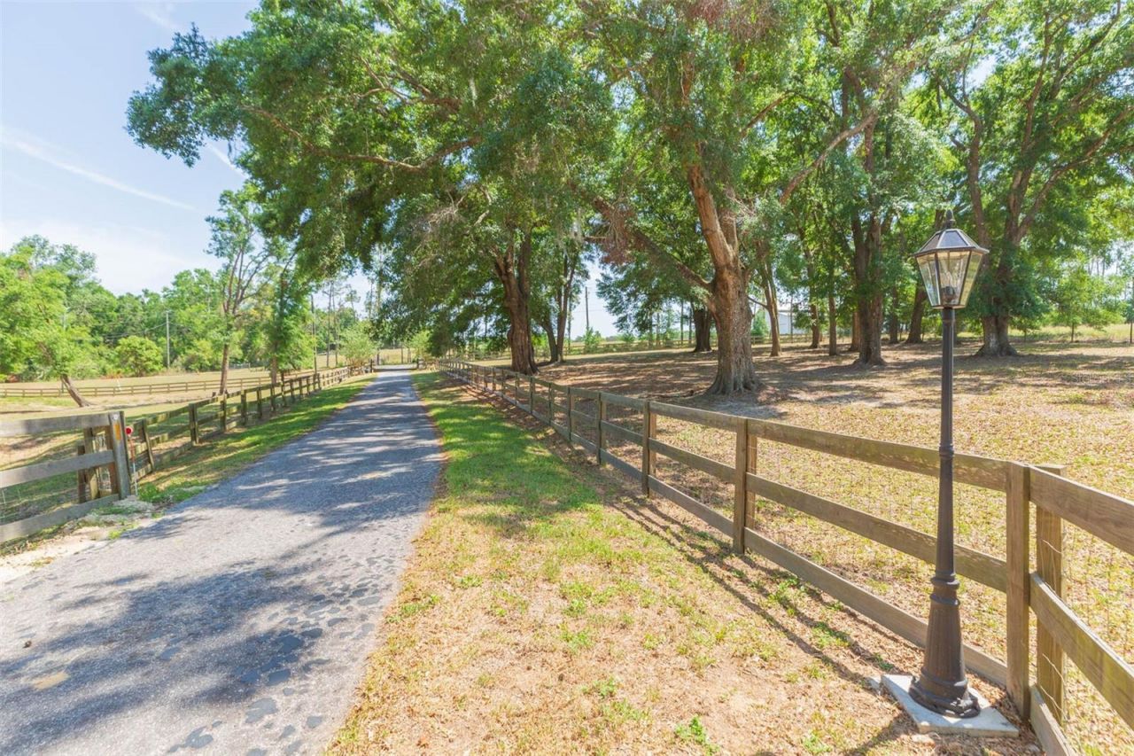 34211 Blanton Road, Dade City, FL 33523 Photo