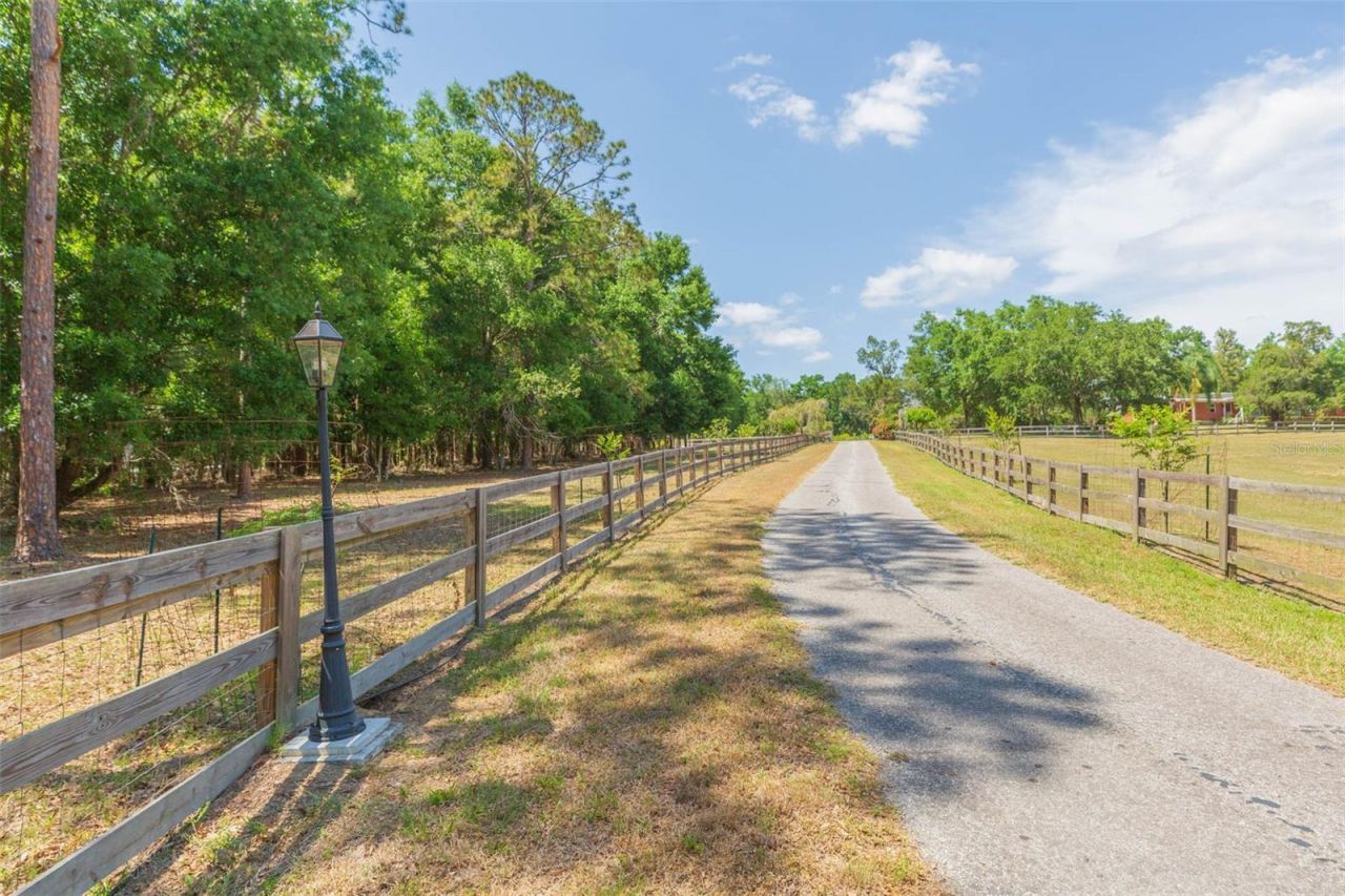 34211 Blanton Road, Dade City, FL 33523 Photo