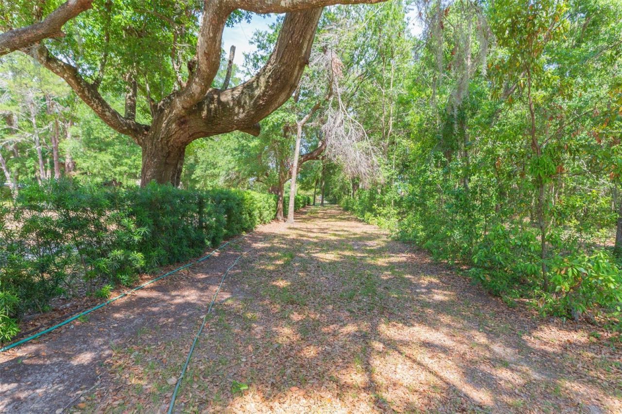 34211 Blanton Road, Dade City, FL 33523 Photo