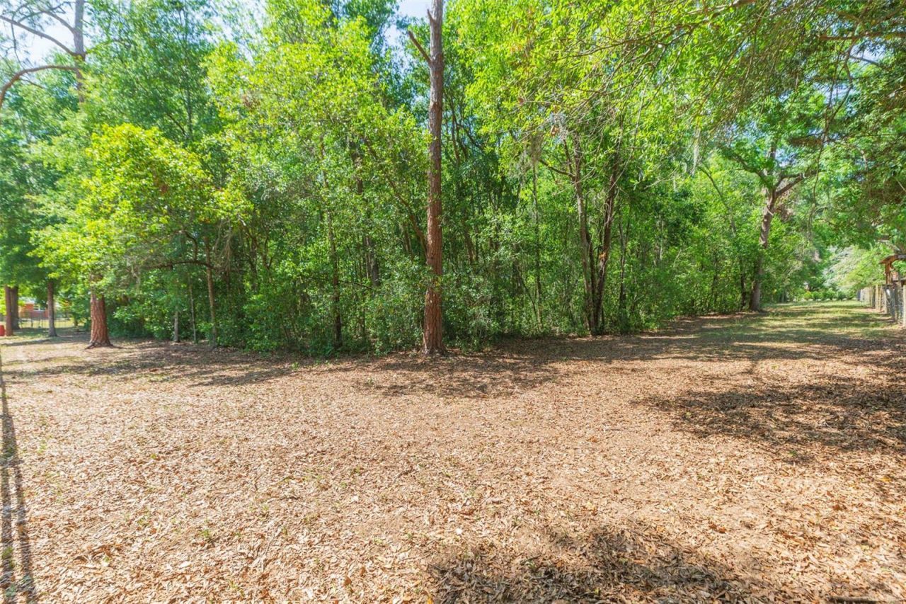 34211 Blanton Road, Dade City, FL 33523 Photo