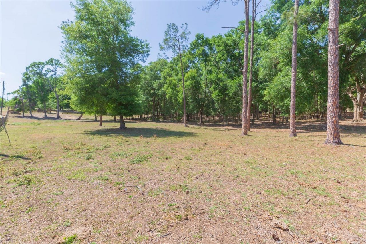 34211 Blanton Road, Dade City, FL 33523 Photo