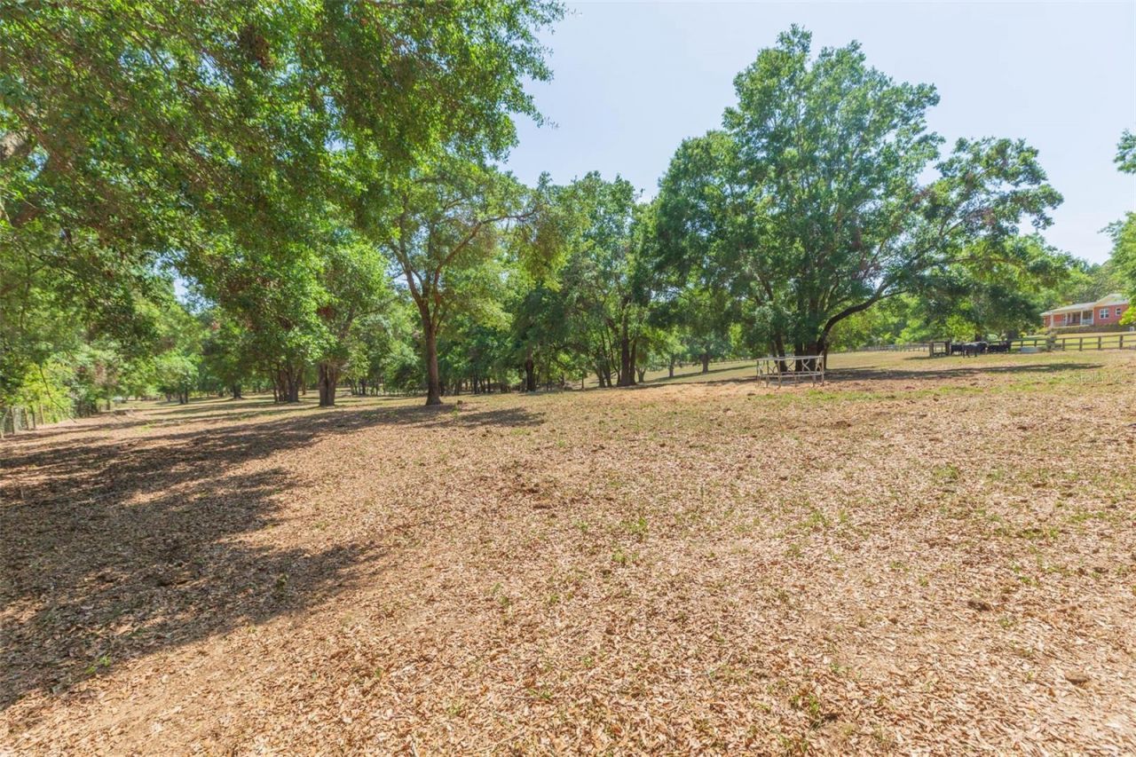 34211 Blanton Road, Dade City, FL 33523 Photo