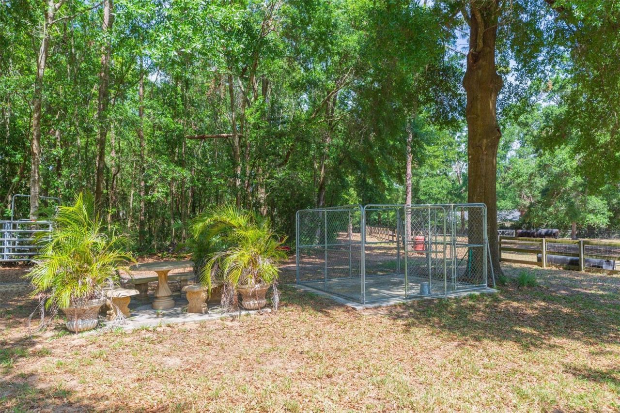 34211 Blanton Road, Dade City, FL 33523 Photo