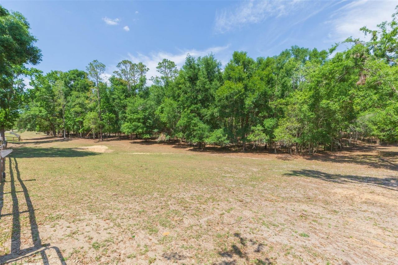 34211 Blanton Road, Dade City, FL 33523 Photo