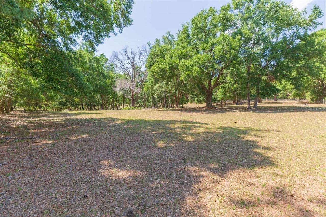 34211 Blanton Road, Dade City, FL 33523 Photo