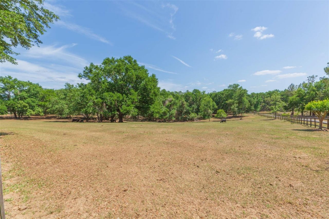 34211 Blanton Road, Dade City, FL 33523 Photo