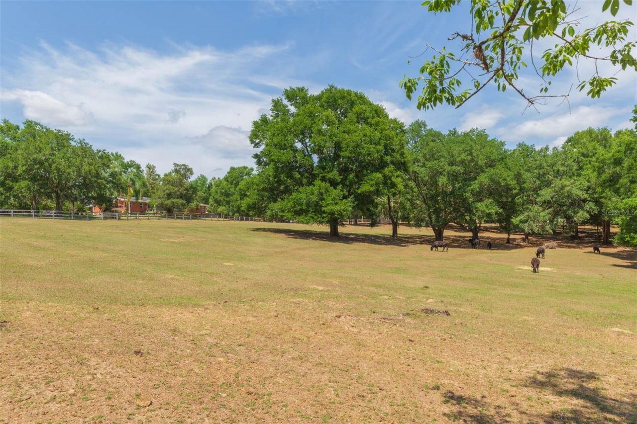 34211 Blanton Road, Dade City, FL 33523 Photo