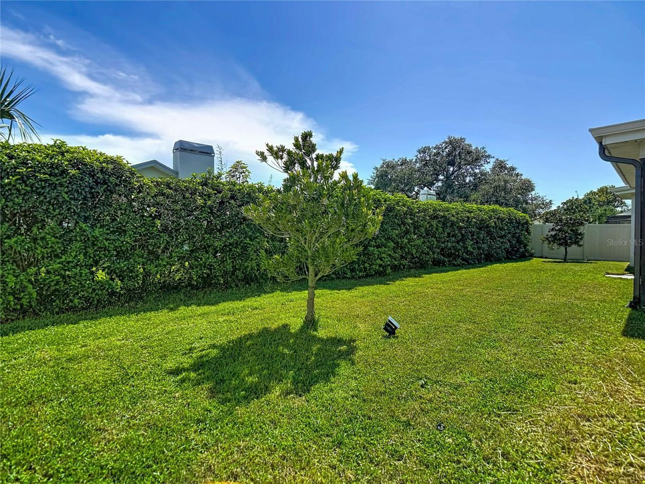 9902 Stephenson Drive, New Port Richey, FL 34655 Photo