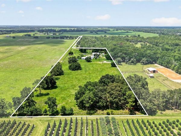 20500 NW 27TH STREET, MORRISTON, FL 32668