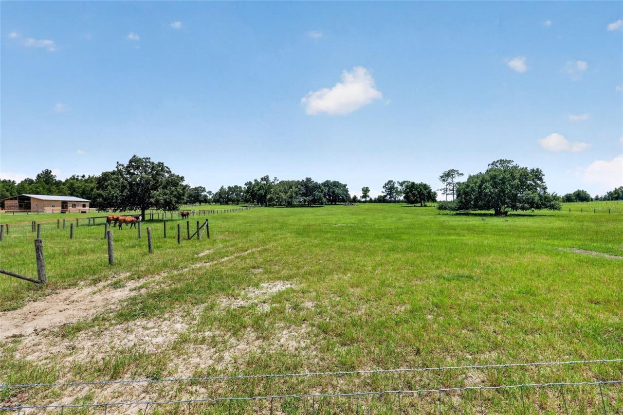 20500 NW 27th Street, Morriston, FL 32668 Photo
