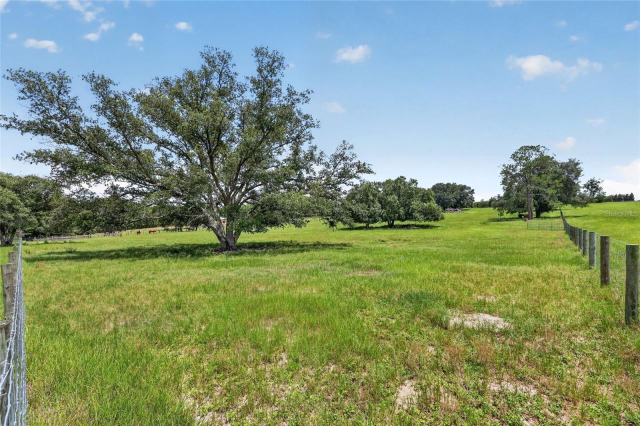 20500 NW 27th Street, Morriston, FL 32668 Photo