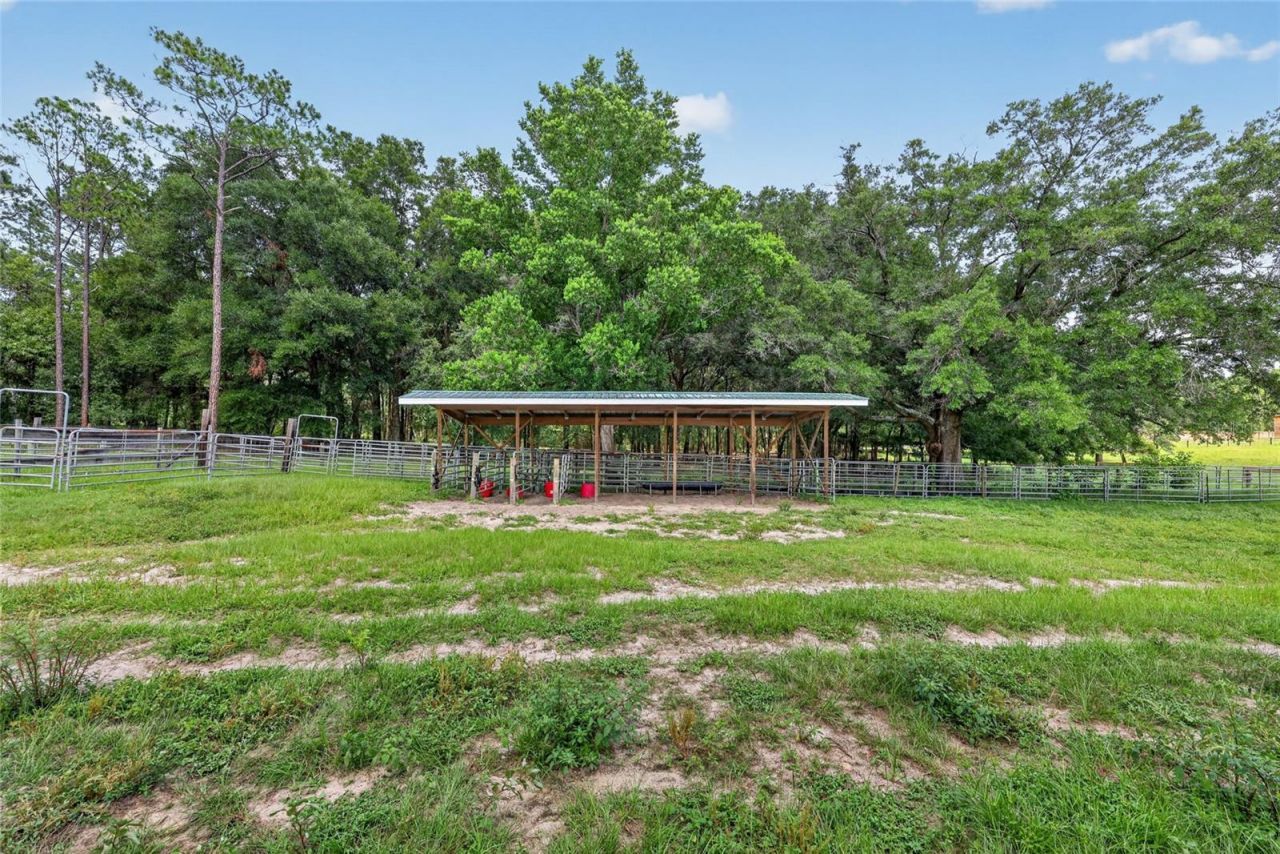 20500 NW 27th Street, Morriston, FL 32668 Photo