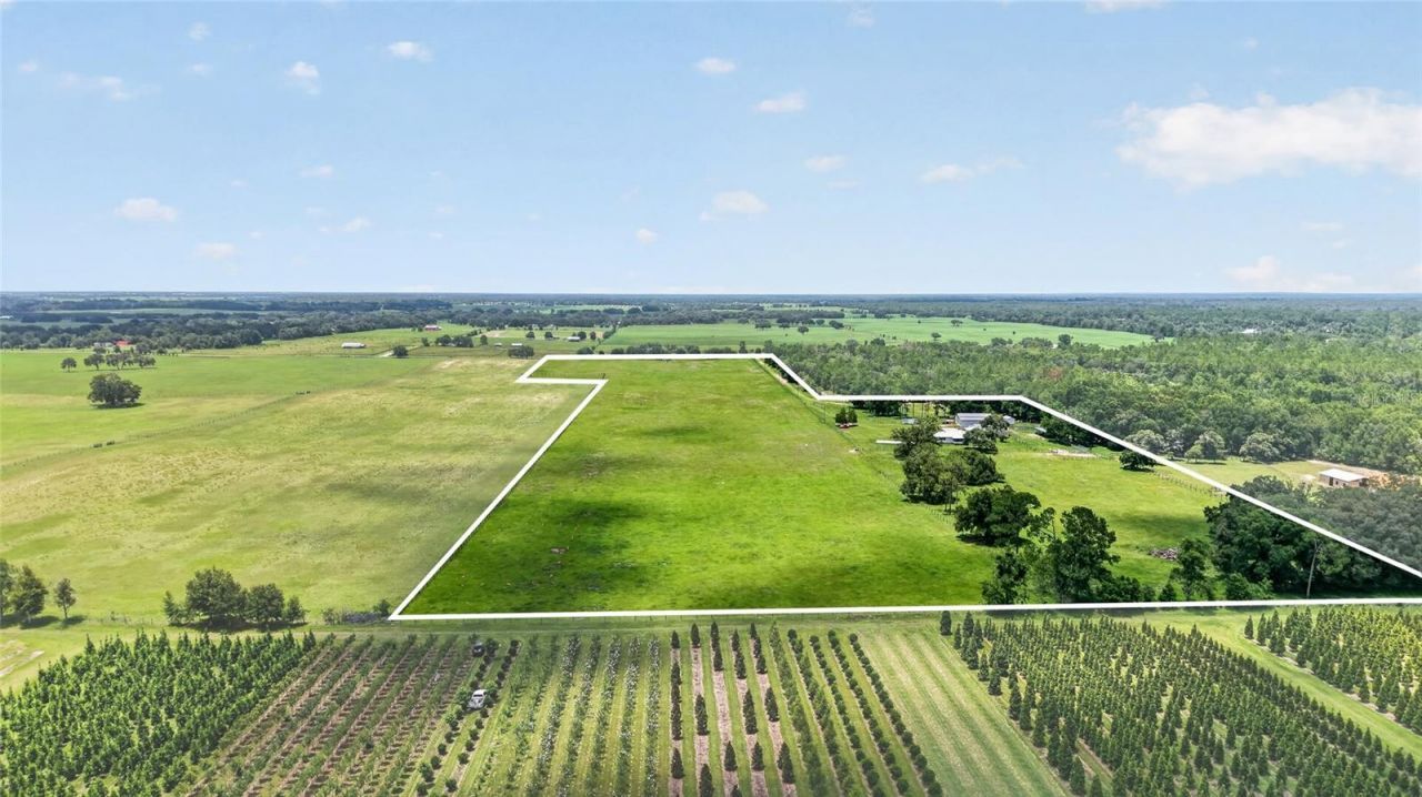 20500 NW 27th Street, Morriston, FL 32668 Photo