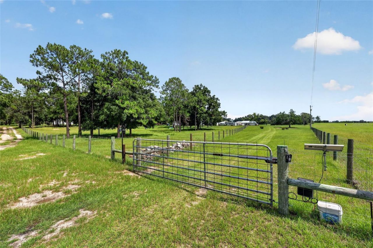 20500 NW 27th Street, Morriston, FL 32668 Photo
