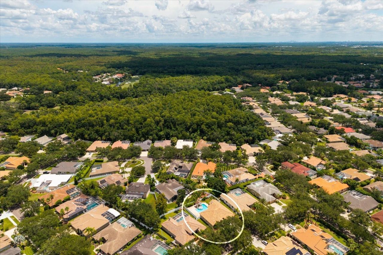 1723 Captiva Drive, Oldsmar, FL 34677 Photo