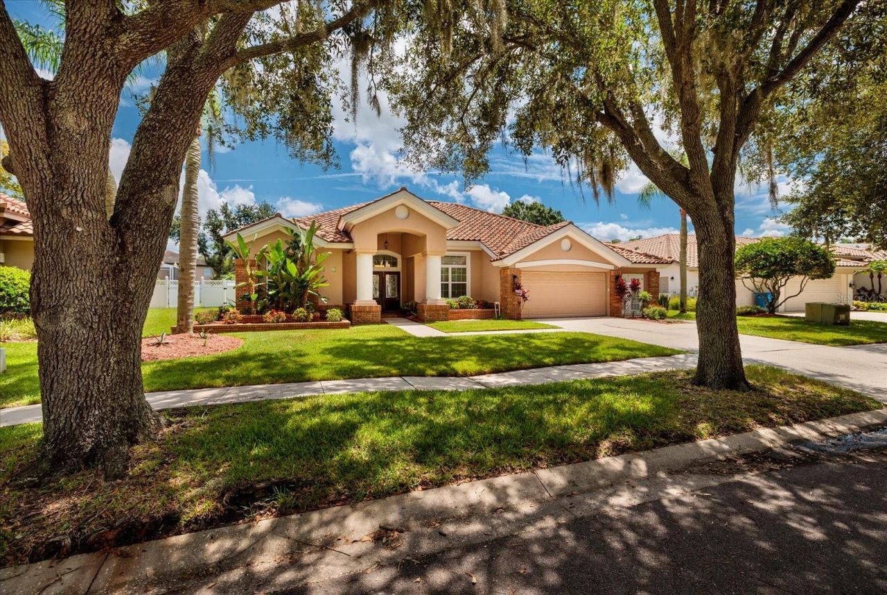 1723 Captiva Drive, Oldsmar, FL 34677 Photo