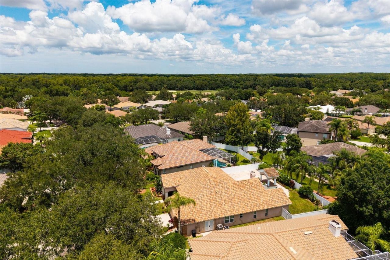 1723 Captiva Drive, Oldsmar, FL 34677 Photo