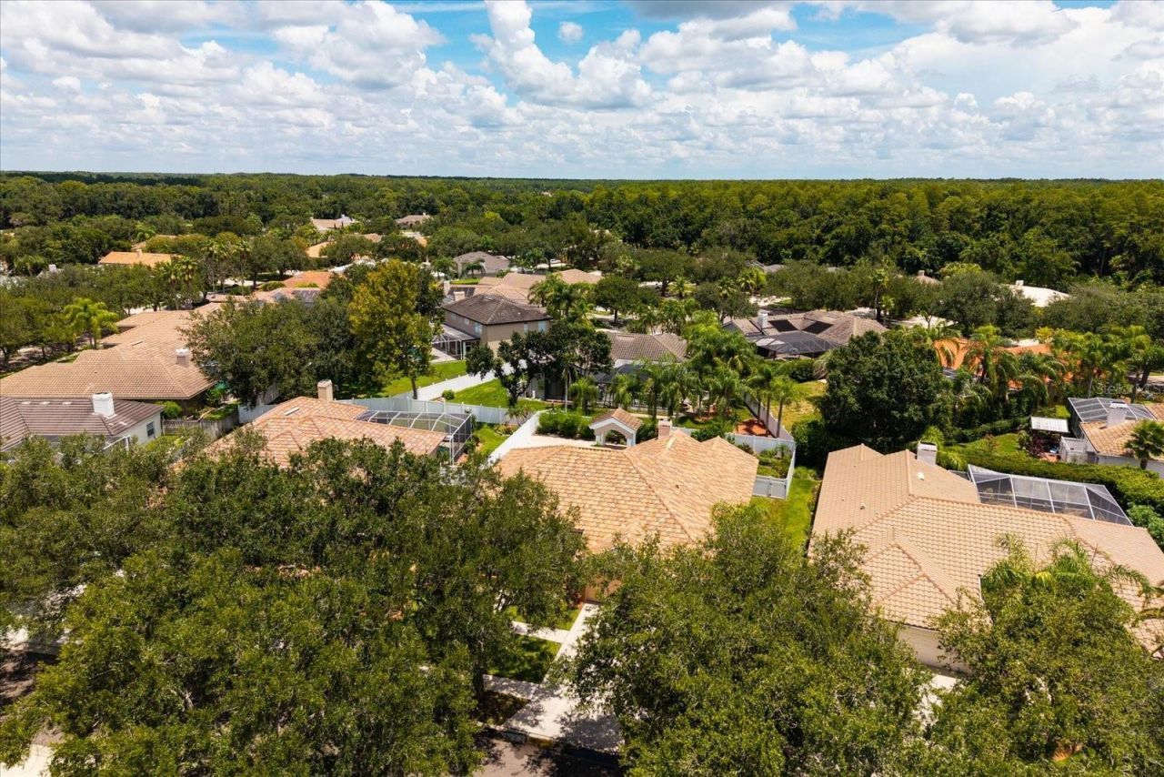 1723 Captiva Drive, Oldsmar, FL 34677 Photo