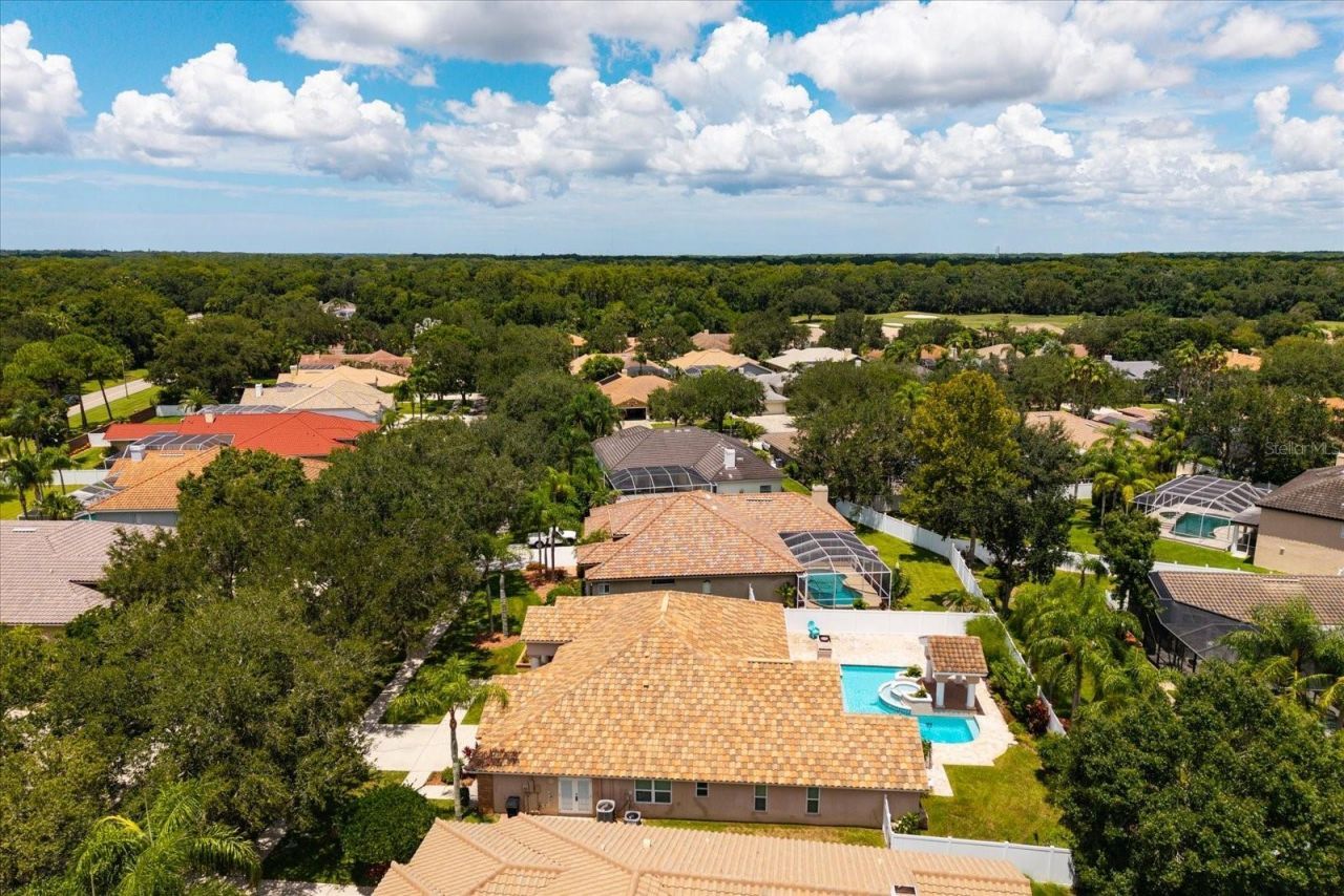 1723 Captiva Drive, Oldsmar, FL 34677 Photo