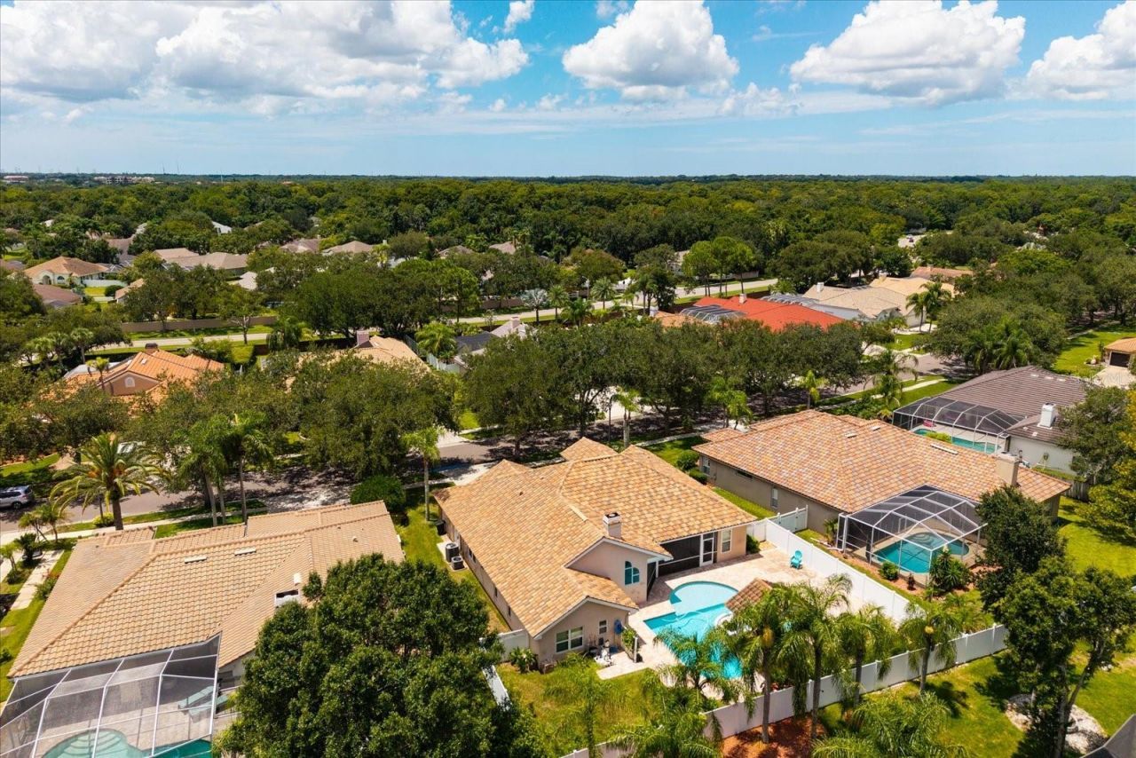 1723 Captiva Drive, Oldsmar, FL 34677 Photo
