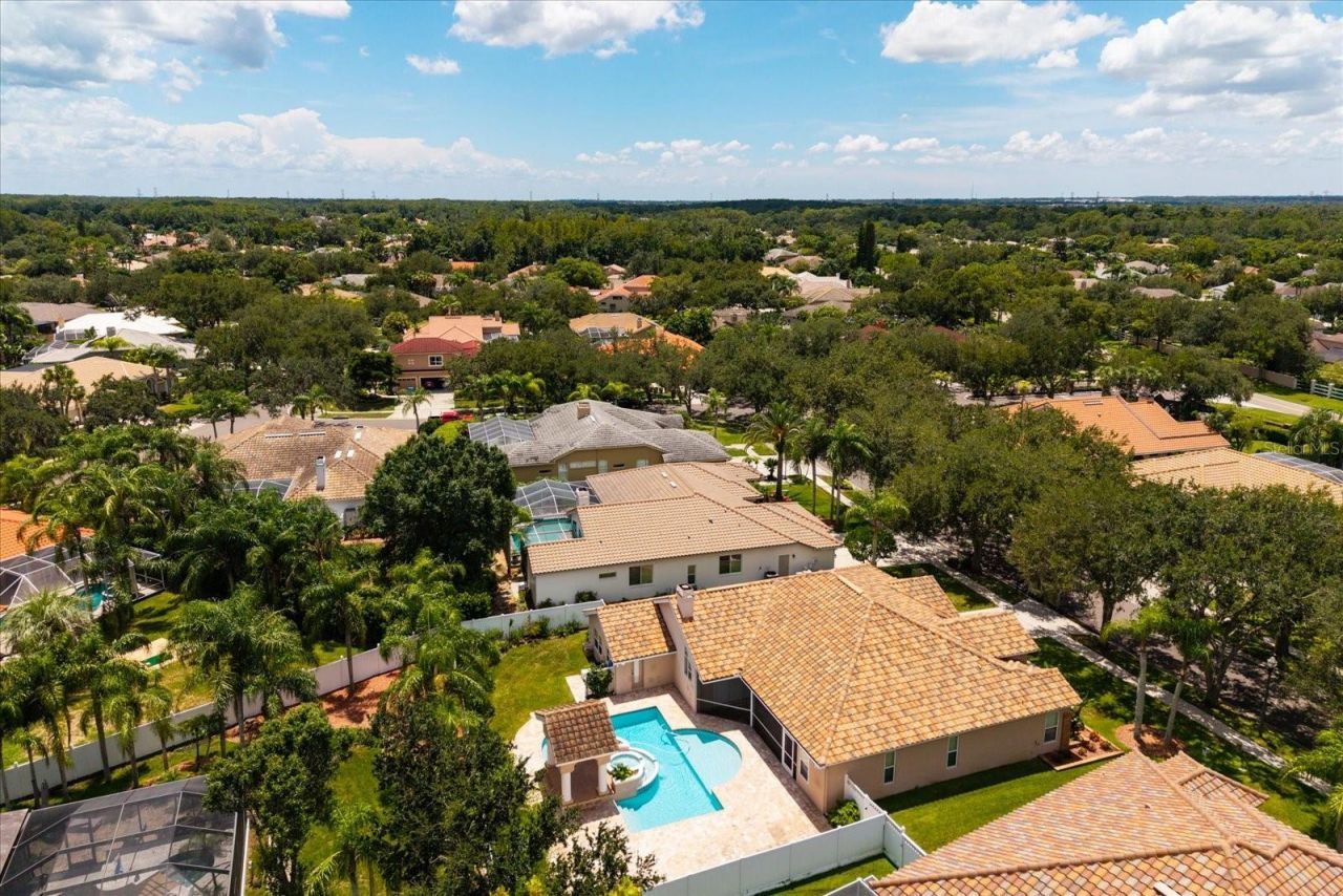 1723 Captiva Drive, Oldsmar, FL 34677 Photo