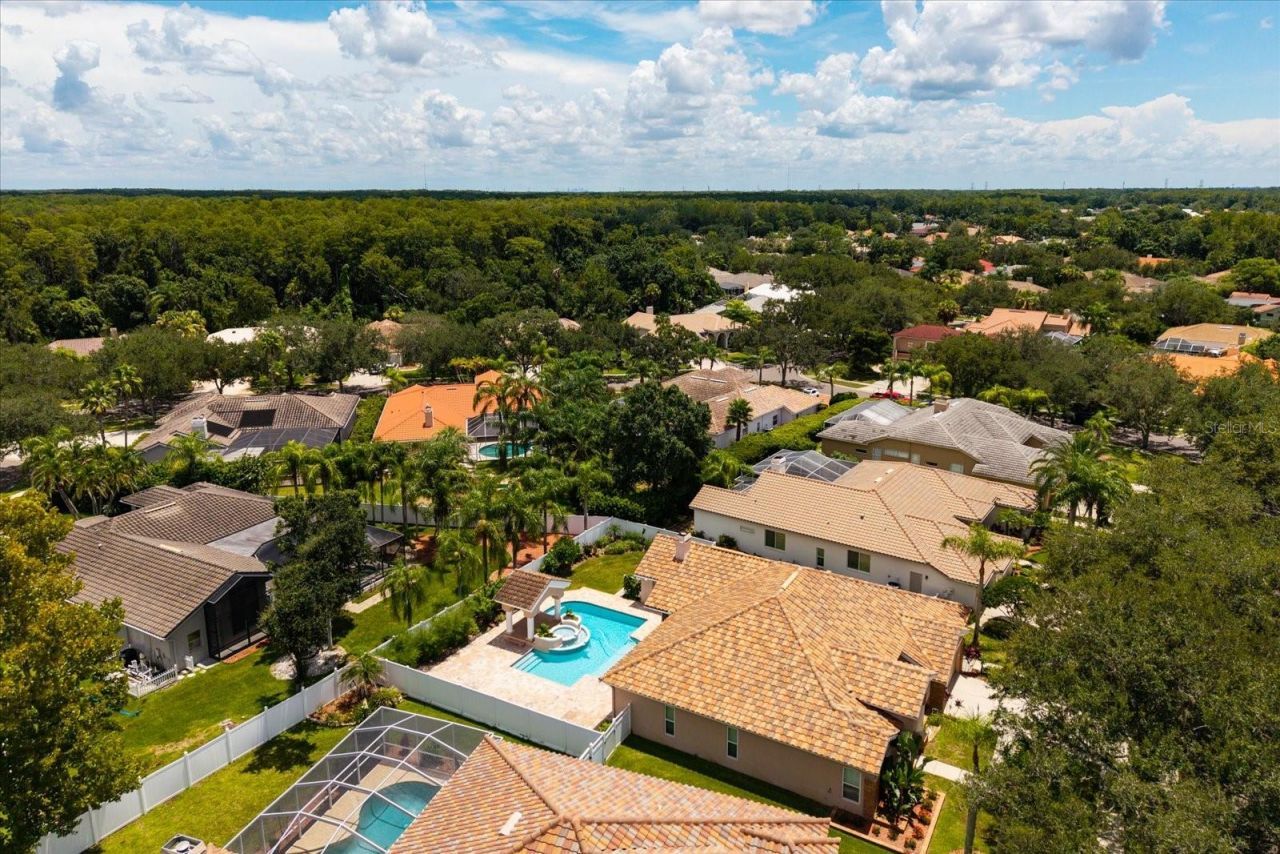 1723 Captiva Drive, Oldsmar, FL 34677 Photo