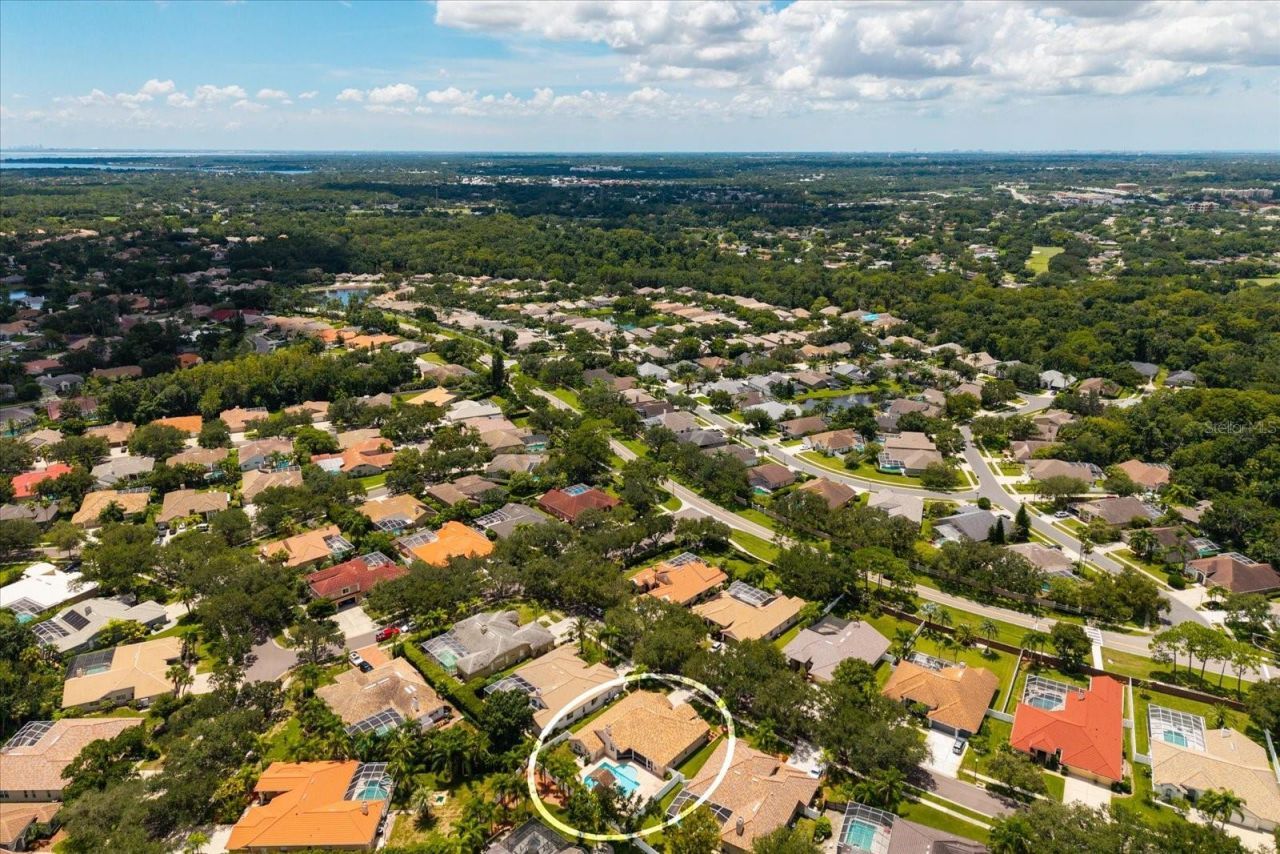1723 Captiva Drive, Oldsmar, FL 34677 Photo