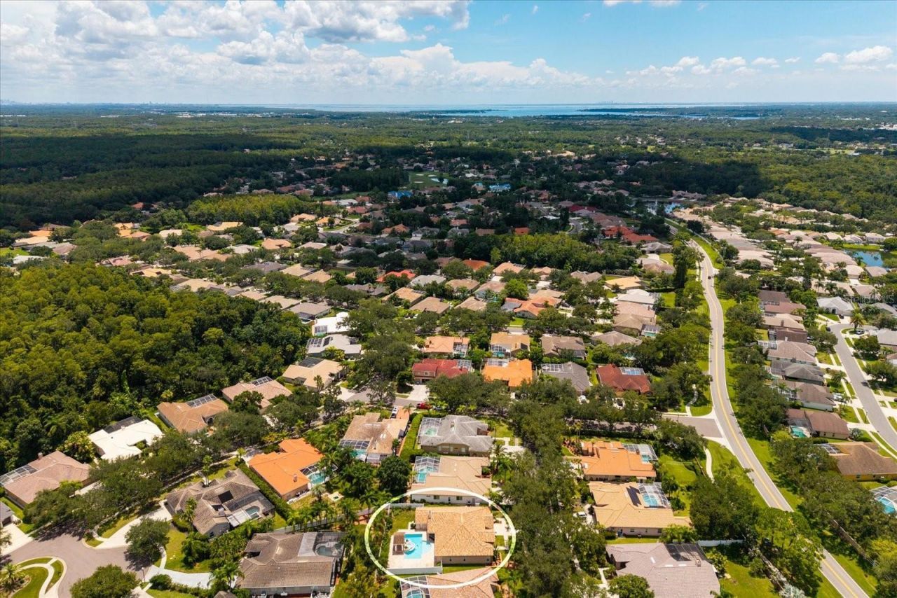 1723 Captiva Drive, Oldsmar, FL 34677 Photo