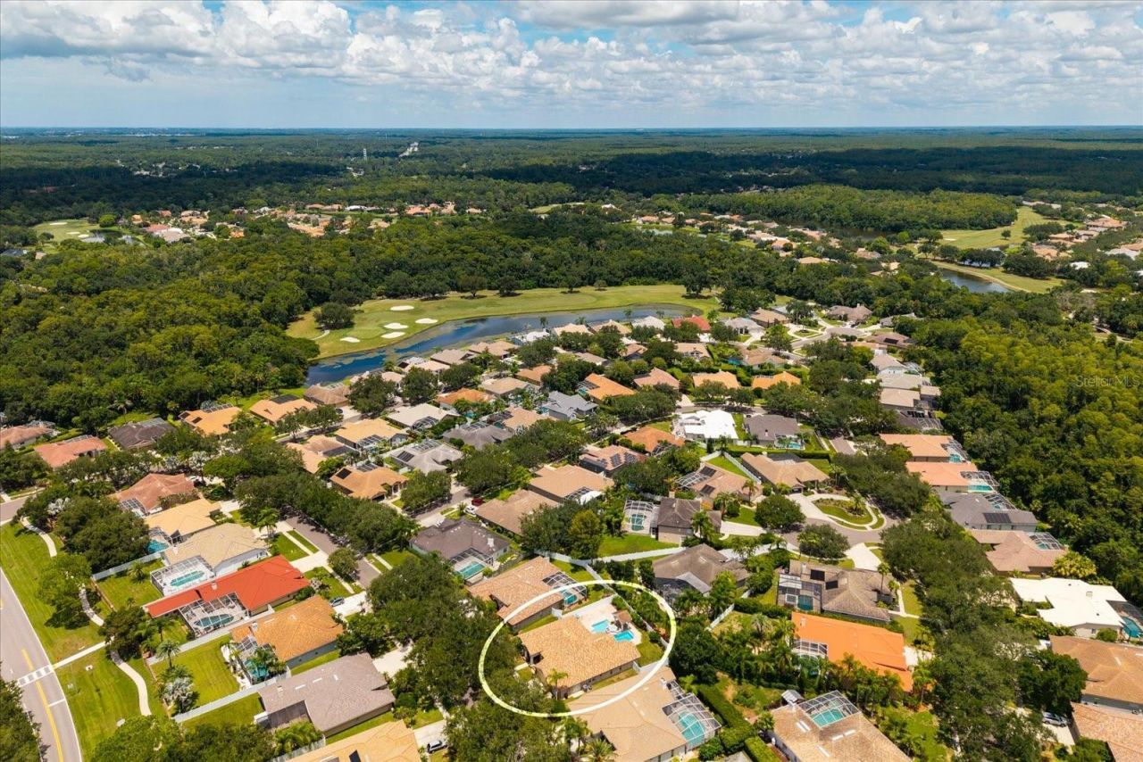 1723 Captiva Drive, Oldsmar, FL 34677 Photo
