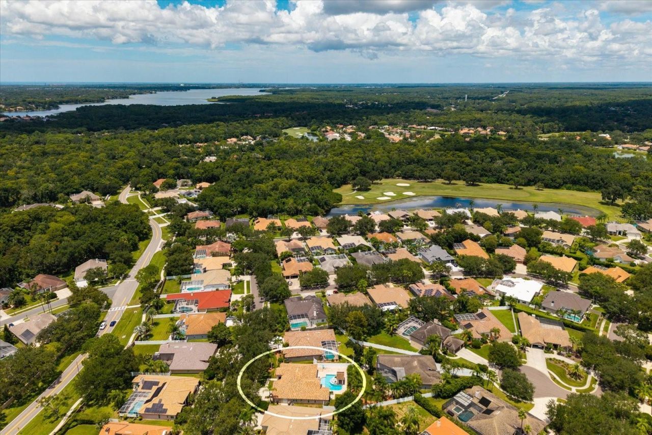 1723 Captiva Drive, Oldsmar, FL 34677 Photo