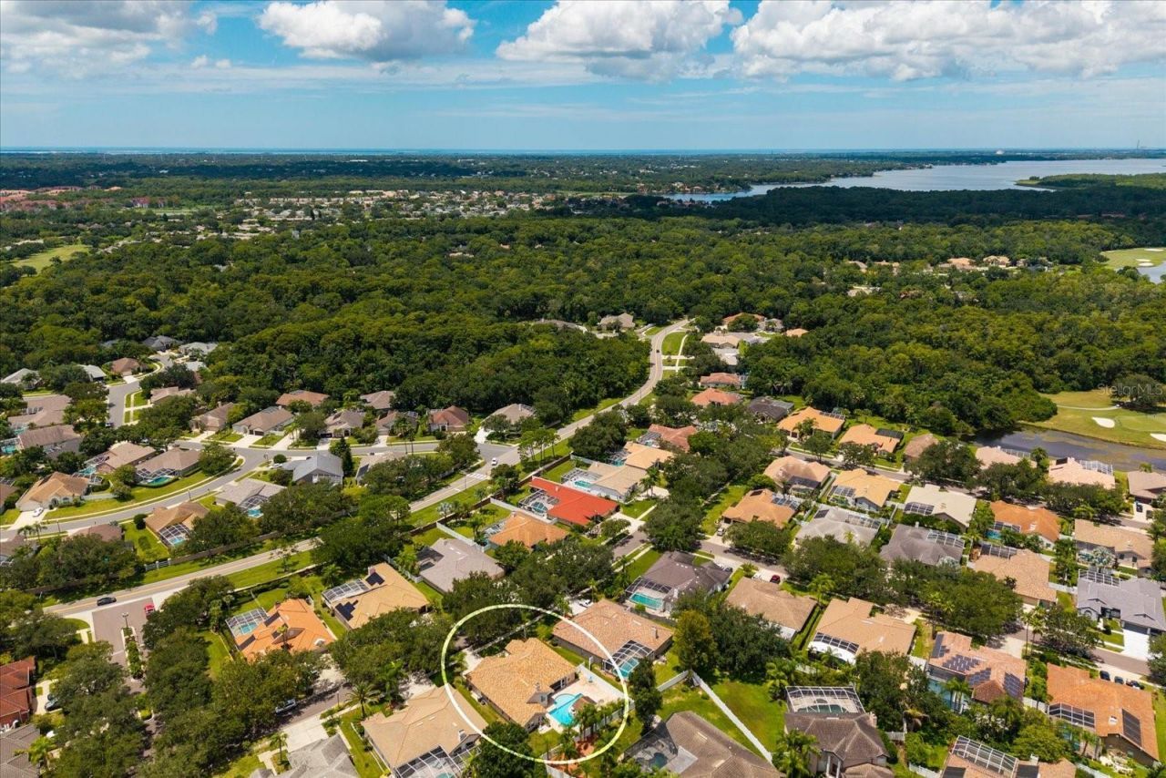 1723 Captiva Drive, Oldsmar, FL 34677 Photo