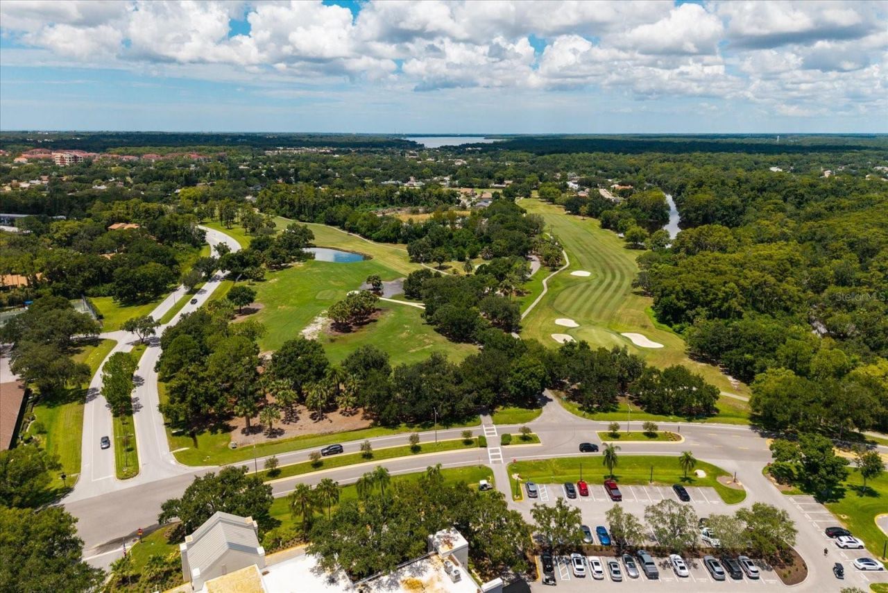 1723 Captiva Drive, Oldsmar, FL 34677 Photo
