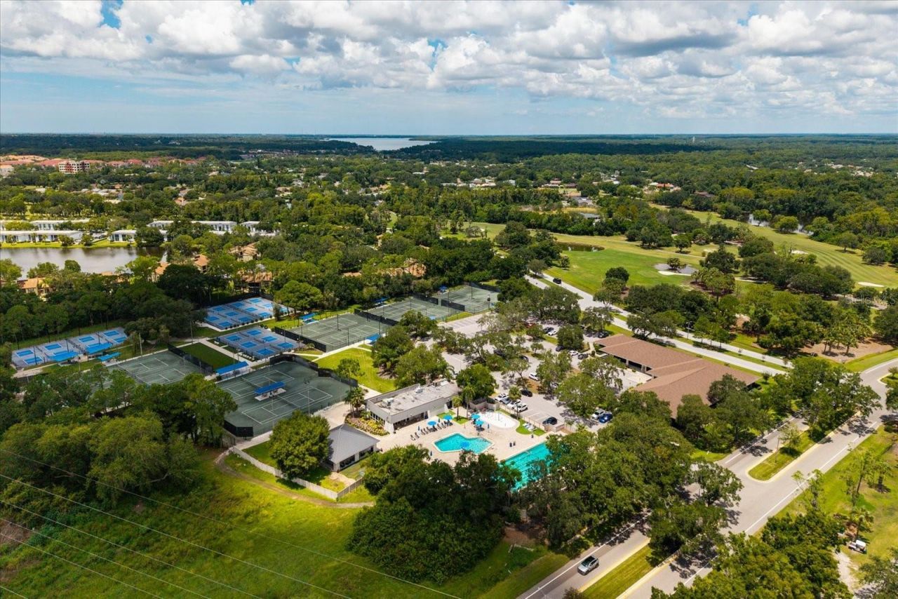 1723 Captiva Drive, Oldsmar, FL 34677 Photo