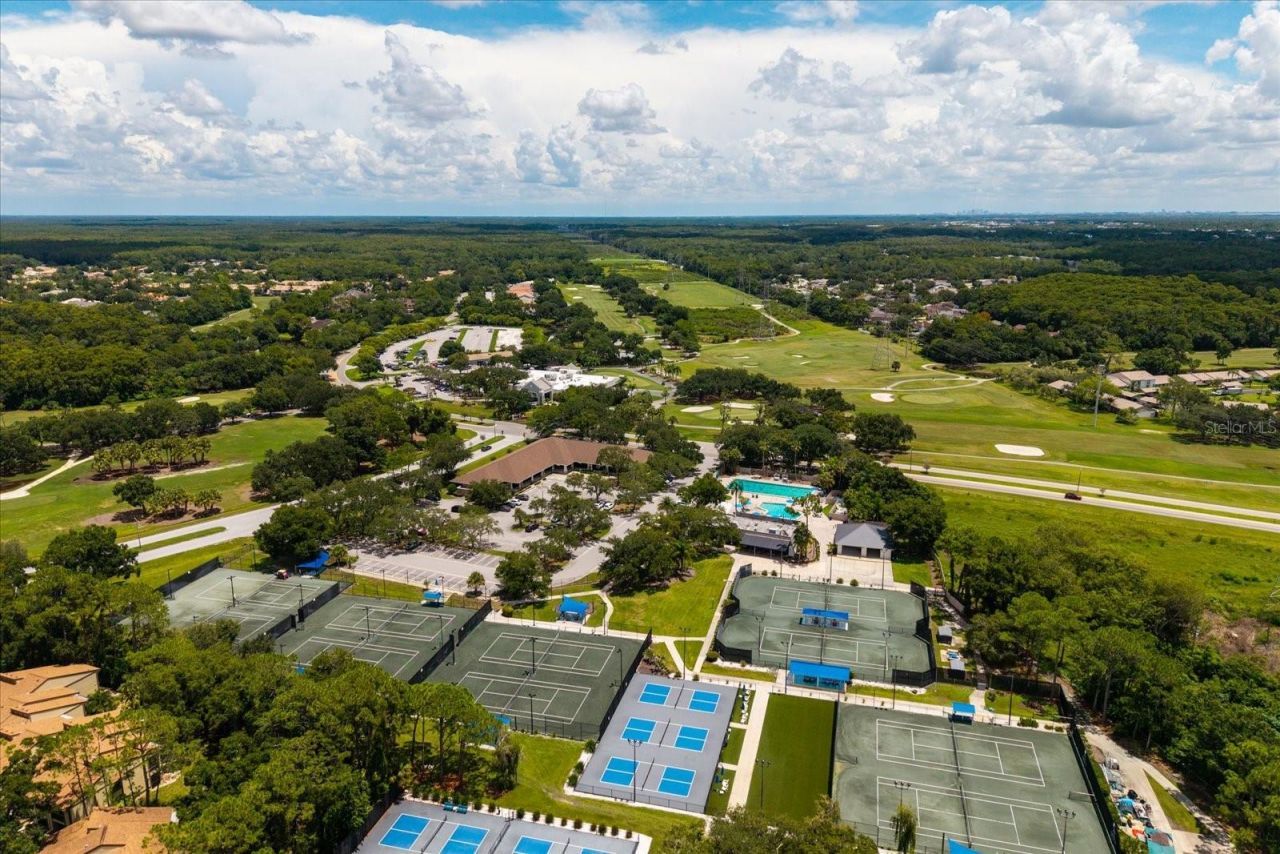 1723 Captiva Drive, Oldsmar, FL 34677 Photo