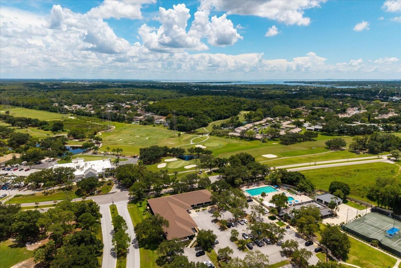 1723 Captiva Drive, Oldsmar, FL 34677 Photo
