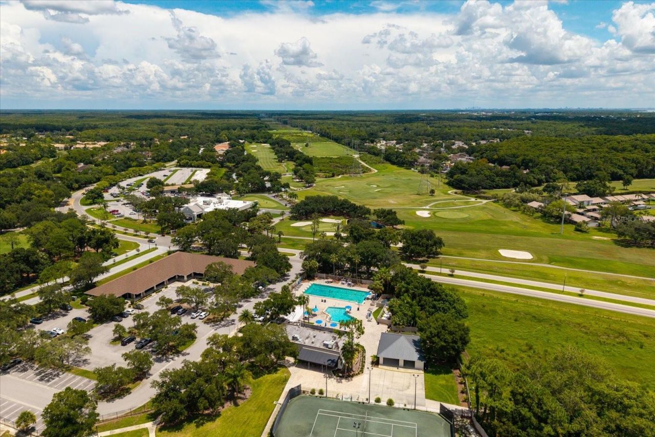 1723 Captiva Drive, Oldsmar, FL 34677 Photo