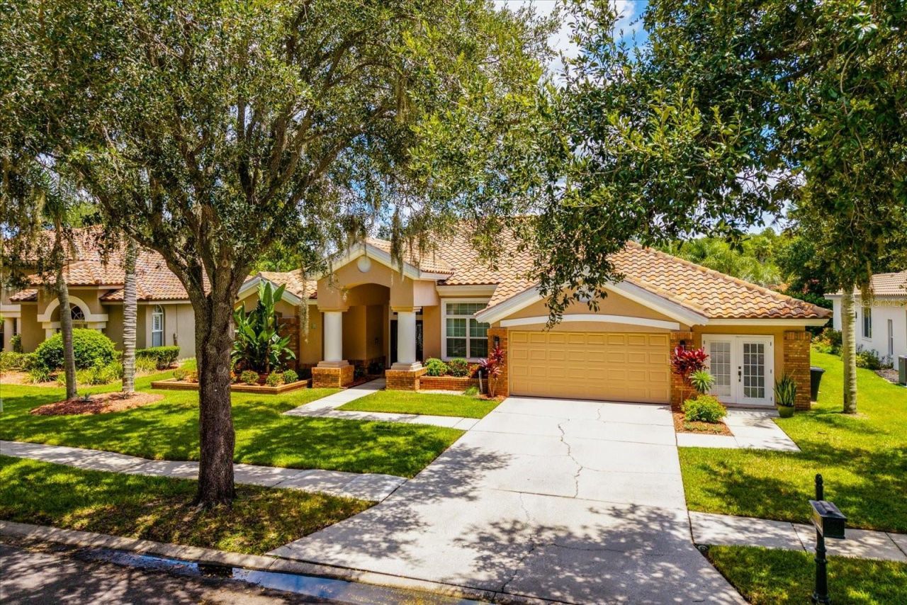 1723 Captiva Drive, Oldsmar, FL 34677 Photo