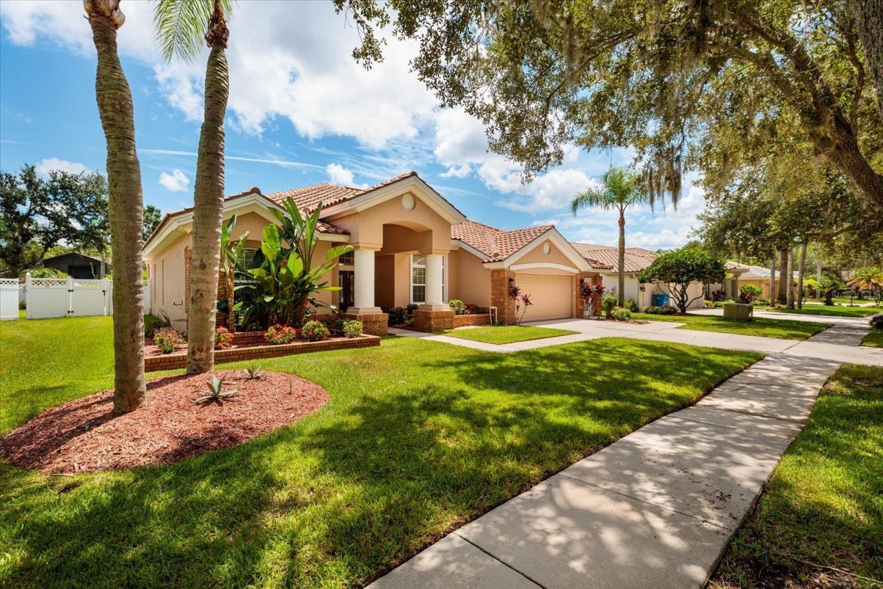 1723 Captiva Drive, Oldsmar, FL 34677 Photo
