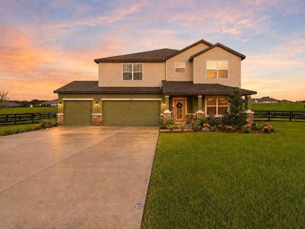 10007 DOLPHIN GULL CIRCLE, THONOTOSASSA, FL 33592