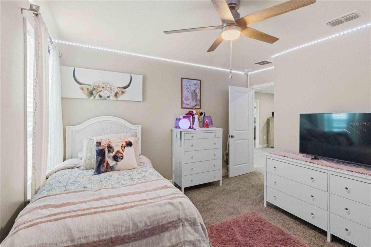 10007 Dolphin Gull Circle, Thonotosassa, FL 33592 Photo