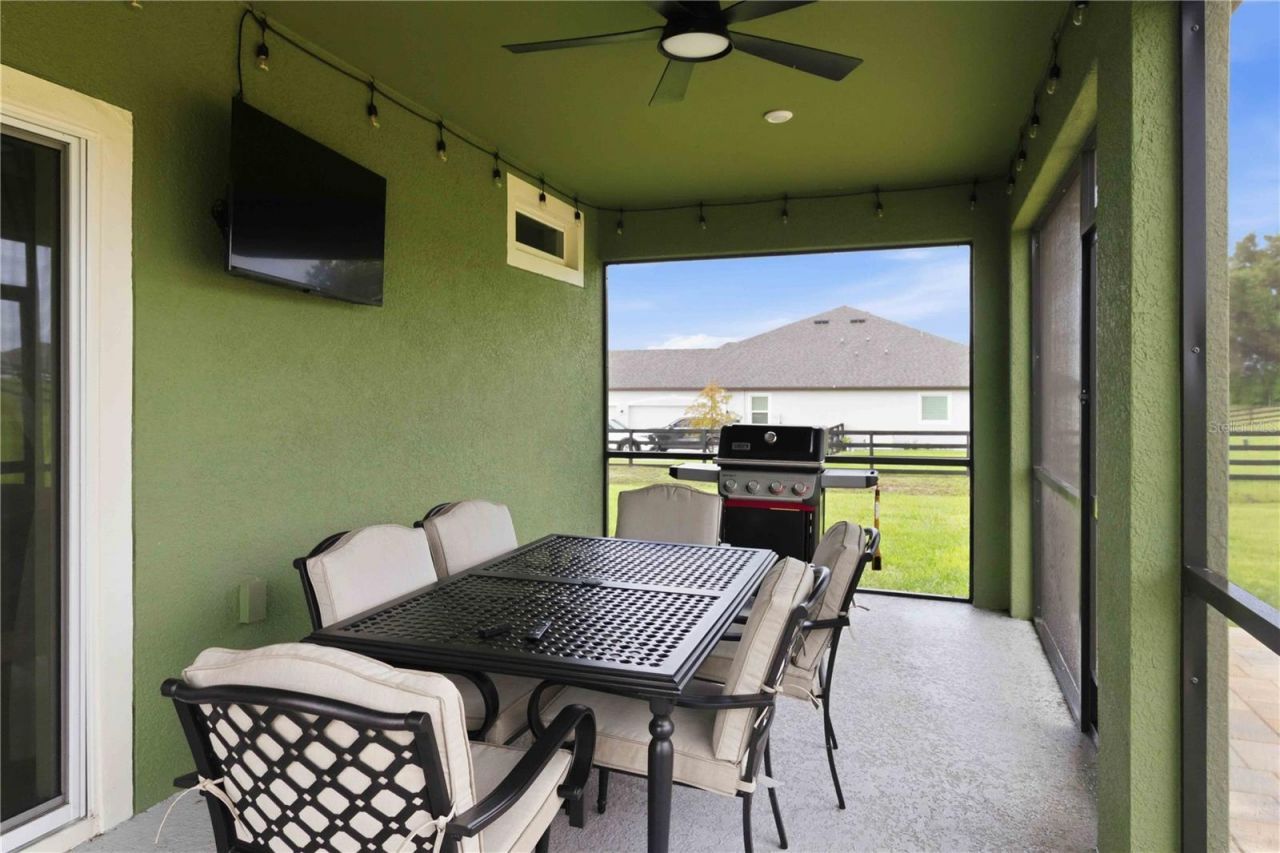 10007 Dolphin Gull Circle, Thonotosassa, FL 33592 Photo